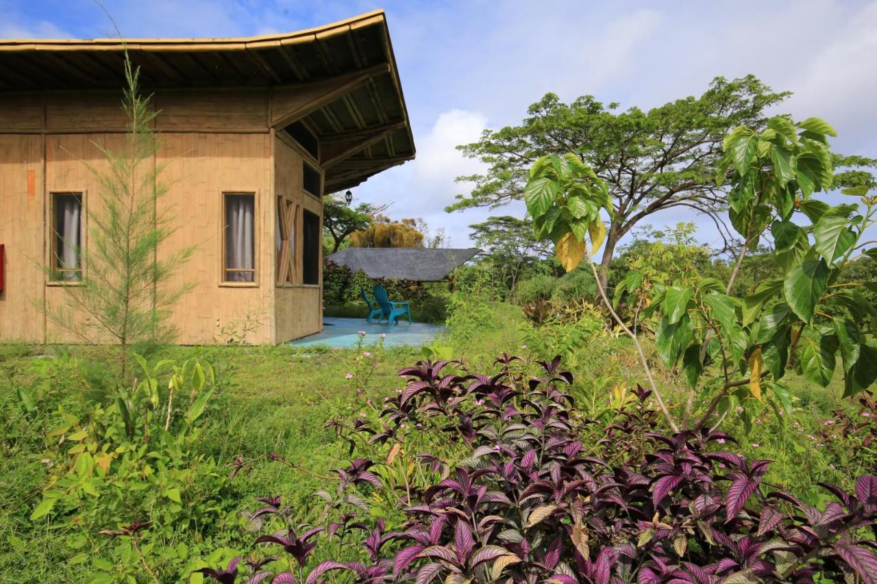 Willa Kalani Oceanside Retreat Pahoa Zewnętrze zdjęcie